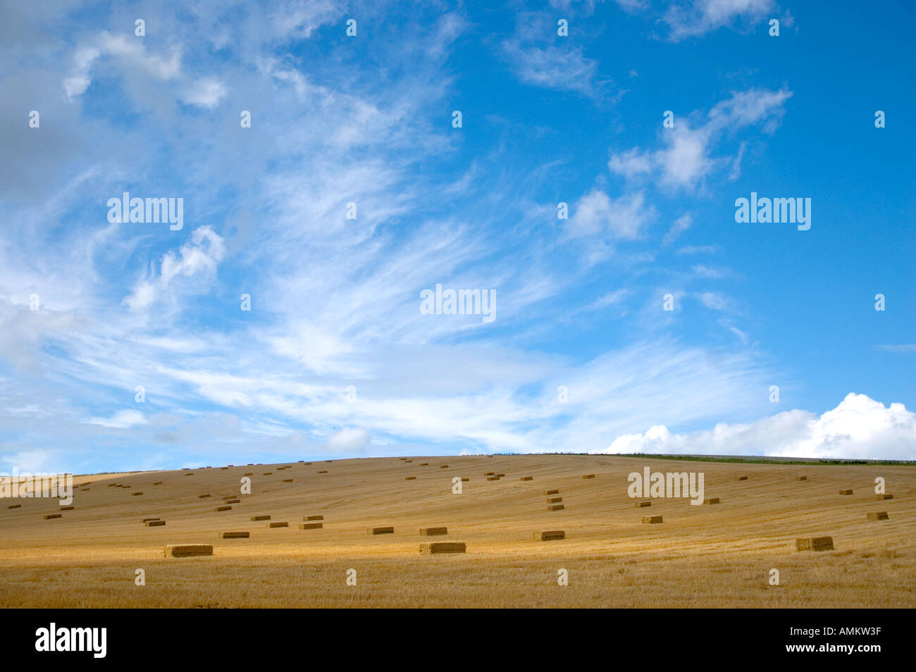 Straw bales Monkton Deverill Dorset England Stock Photo Alamy