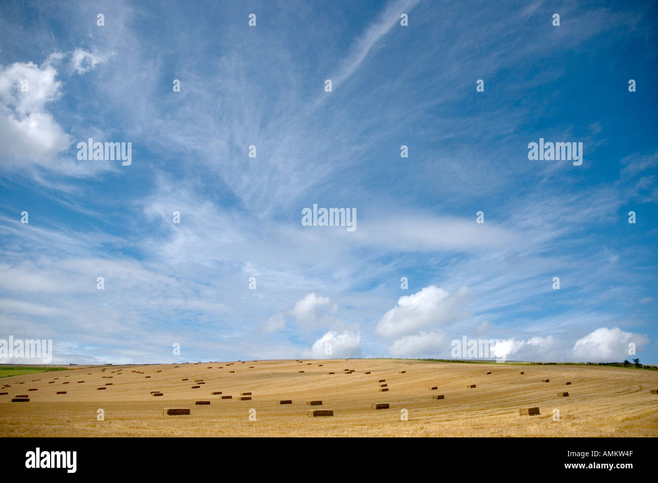 Straw bales Monkton Deverill Dorset England Stock Photo Alamy