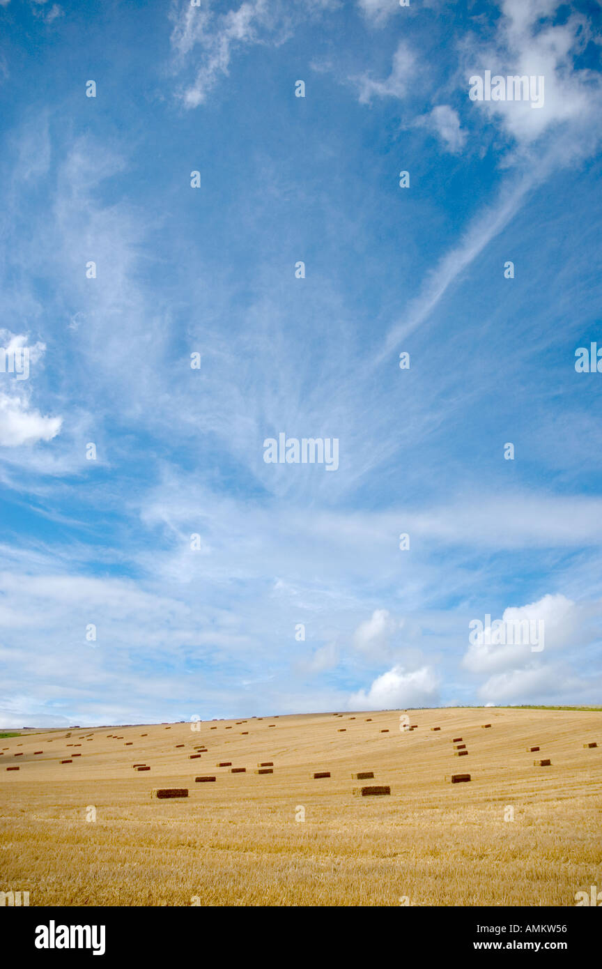 Straw bales Monkton Deverill Dorset England Stock Photo Alamy