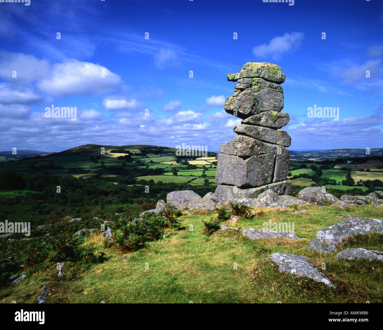 Bowerman's Nose, Granite Formation on Hayne Down Dartmoor Devon Stock ...