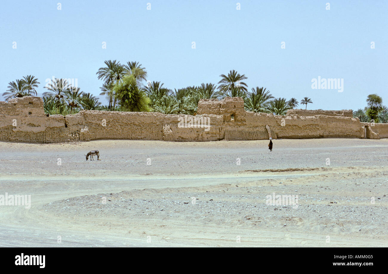 Lone Donkey and Lone Woman, Outskirts of Kamil, Oman Stock Photo