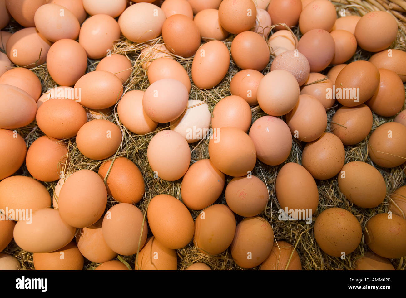 free-range-eggs-stock-photo-alamy
