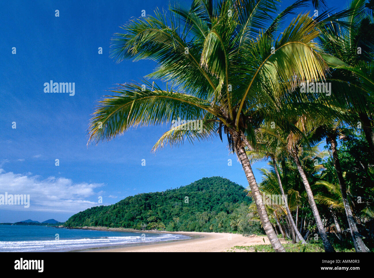 Bingil Bay, Queensland, Australia Stock Photo Alamy