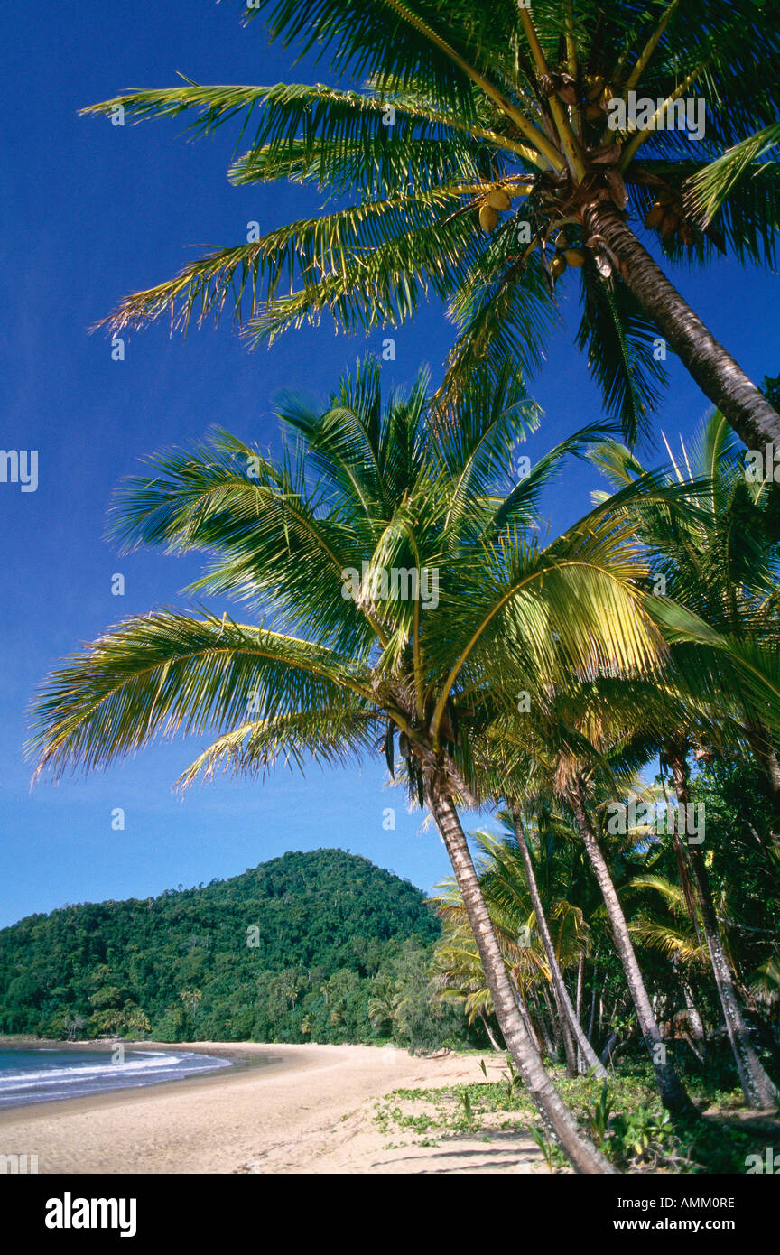 Bingil Bay, Queensland, Australia Stock Photo Alamy