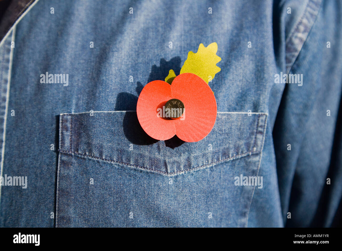 remembrance poppy on a shirt