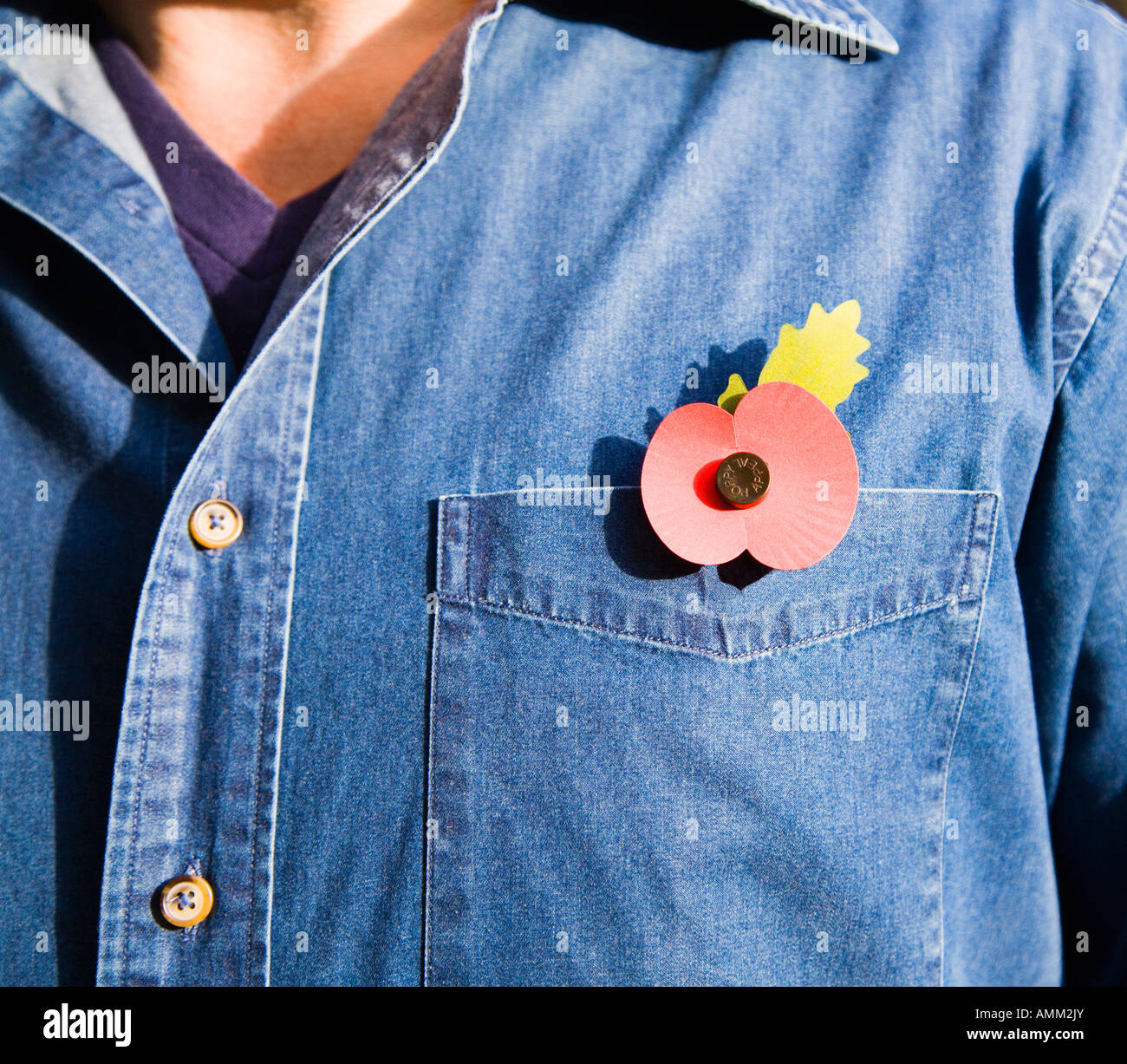 Man wearing a remembrance day poppy on a blue shirt. UK Stock Photo