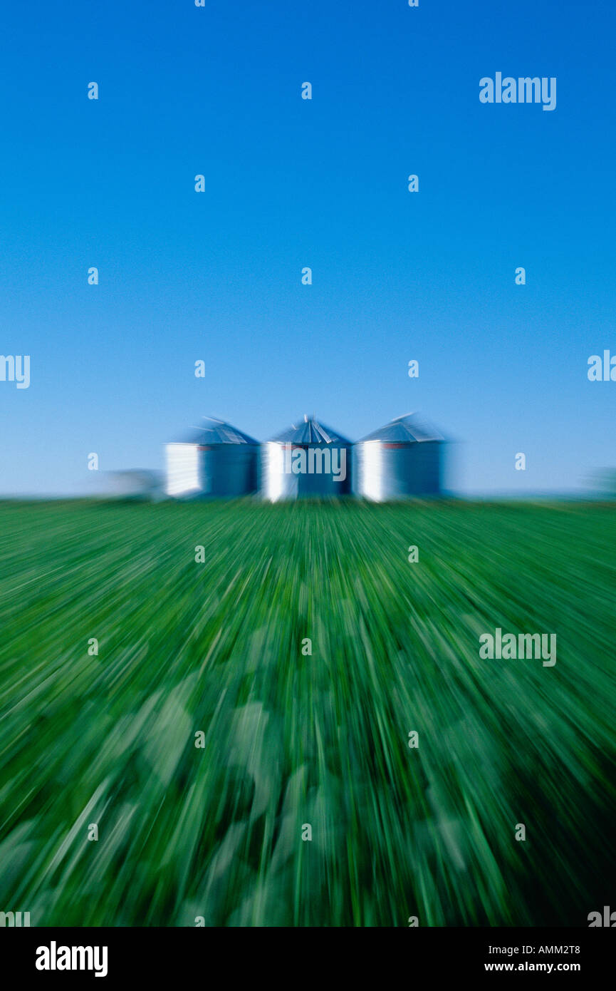 Grain Bins, Alberta, Canada Stock Photo Alamy