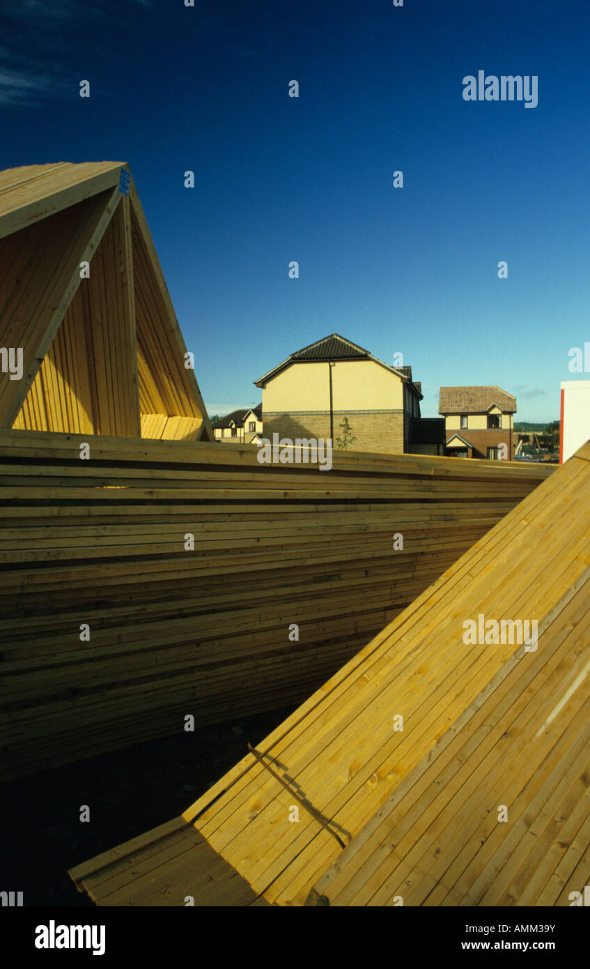 Building site / preassembled roof trusses, Wiltshire, UK Stock Photo