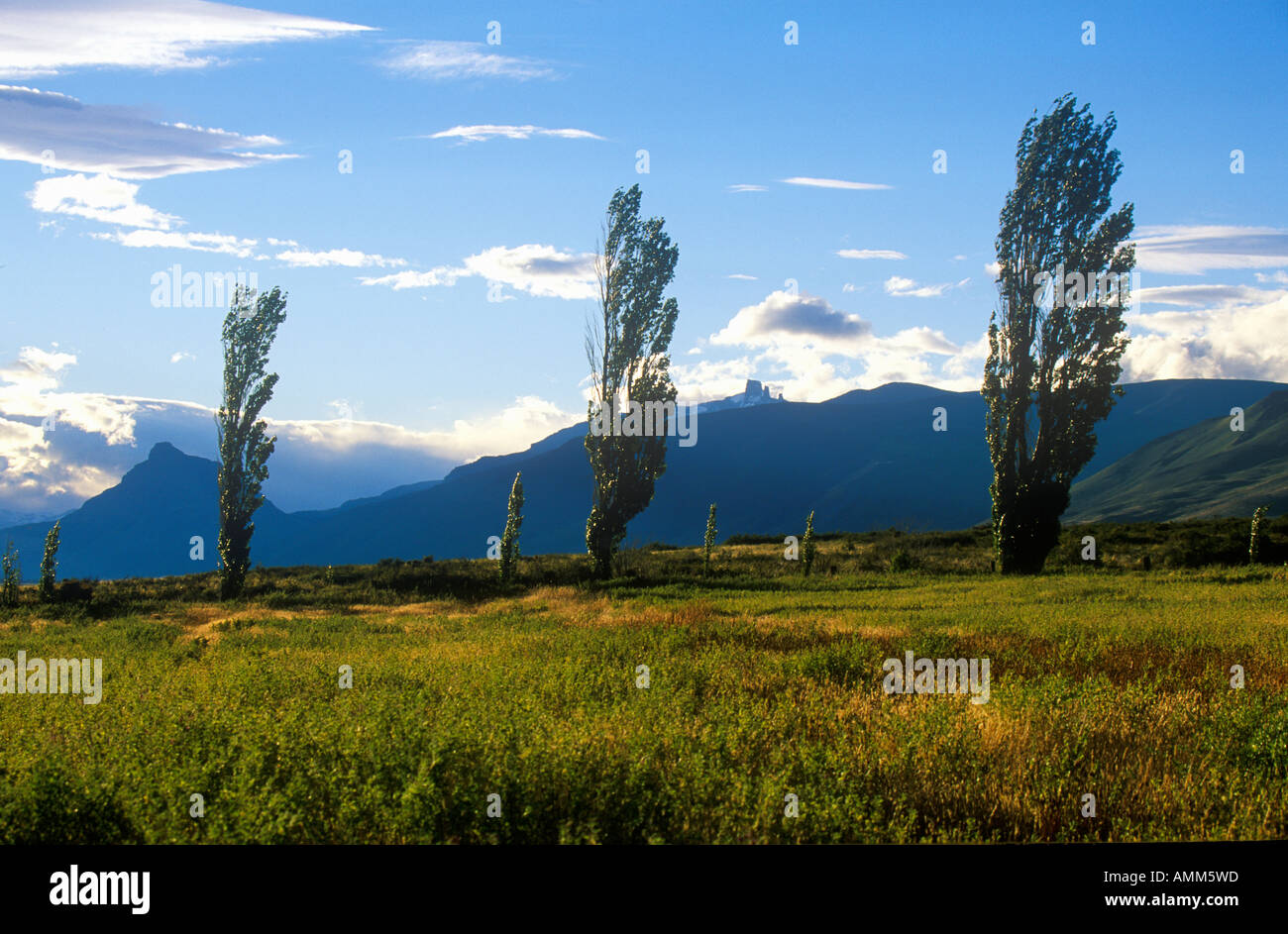 Trees and mountains landscape hi-res stock photography and images - Alamy