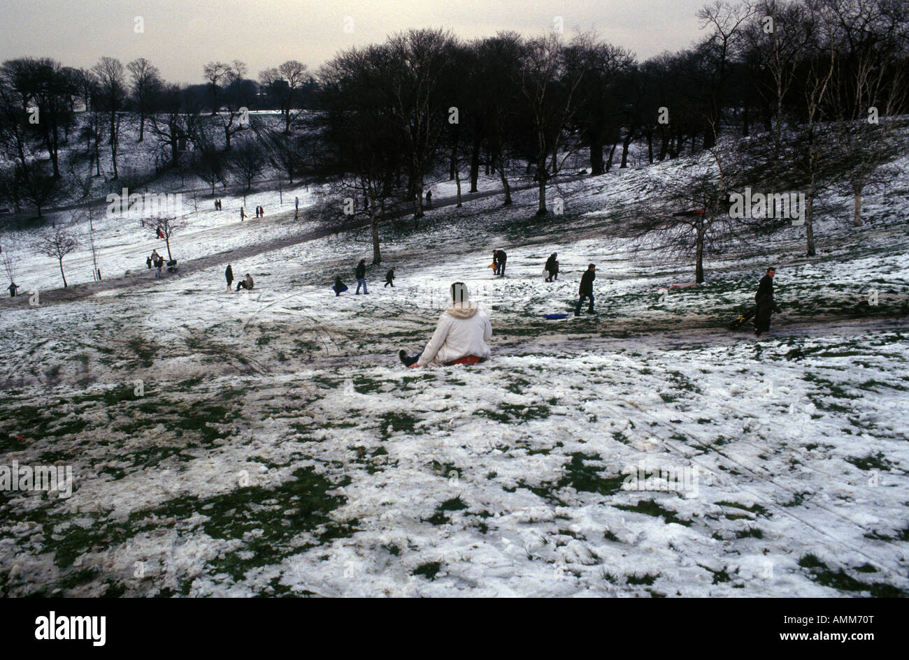 London snow hill sledge sleigh toboggan london park sled grass hires
