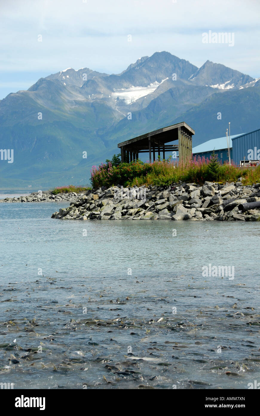 Port of Valdez with Chugach Mountains Valdez Alaska AK United States U ...