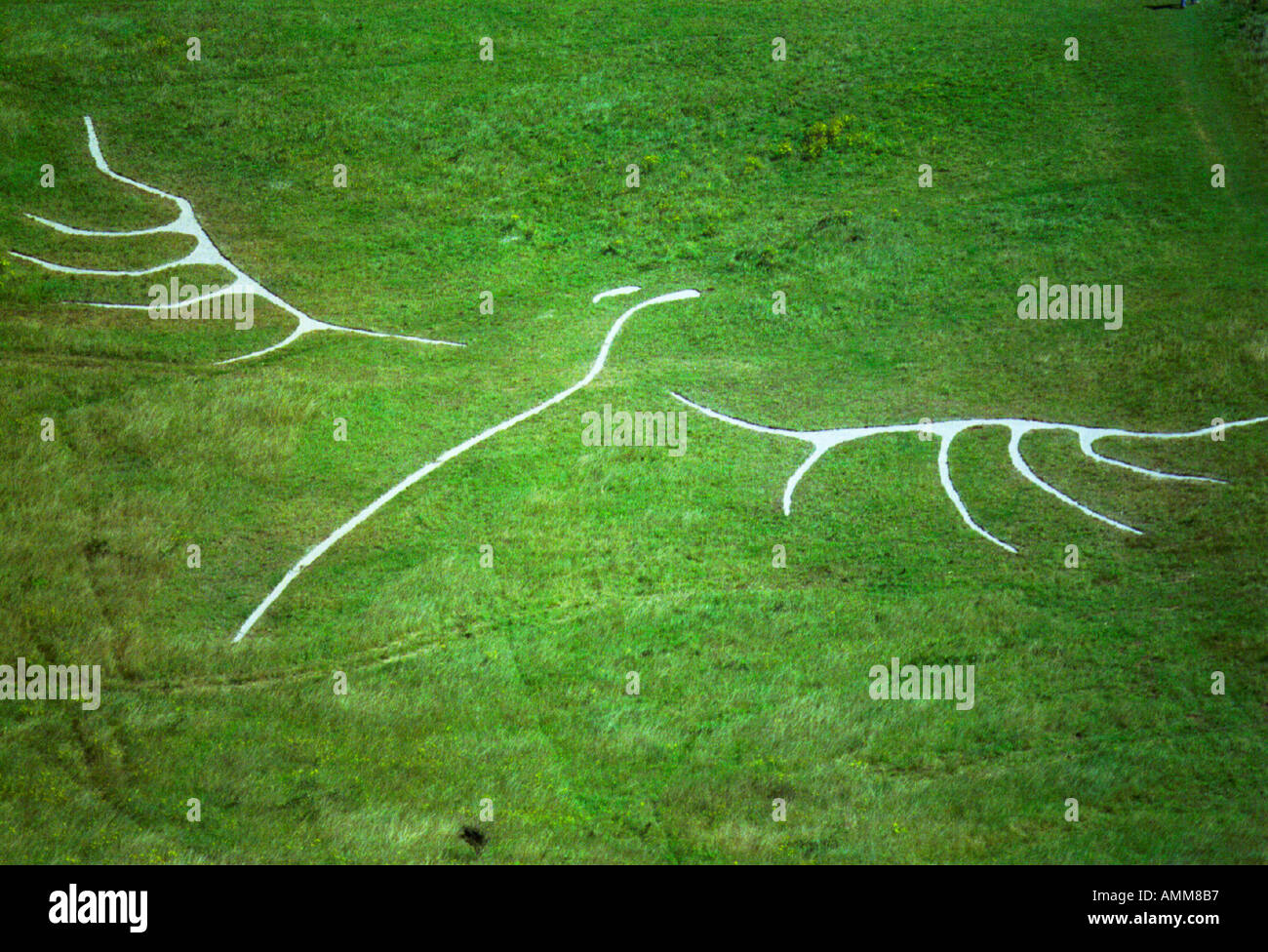 Modern chalk hill figure new landmark Stock Photo Alamy