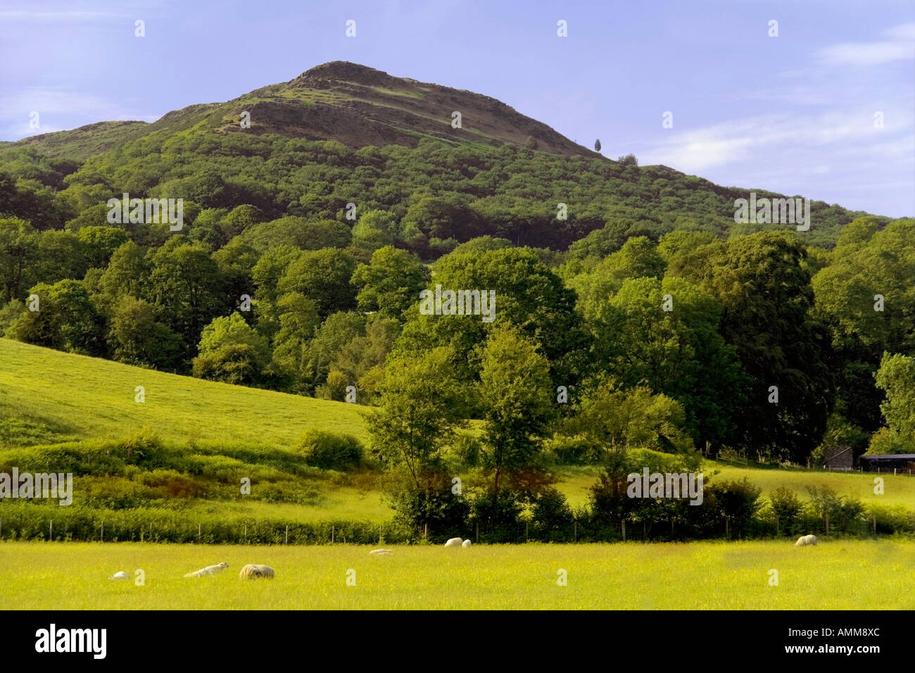 the elan valley cambrian mountains area of outstanding natural beauty