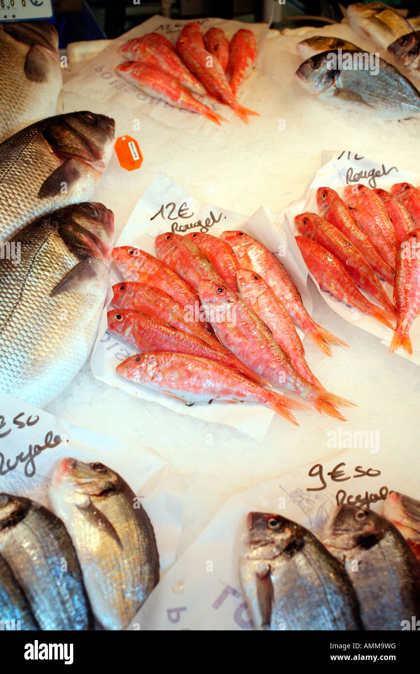 Red snapper for sale hi-res stock photography and images - Alamy