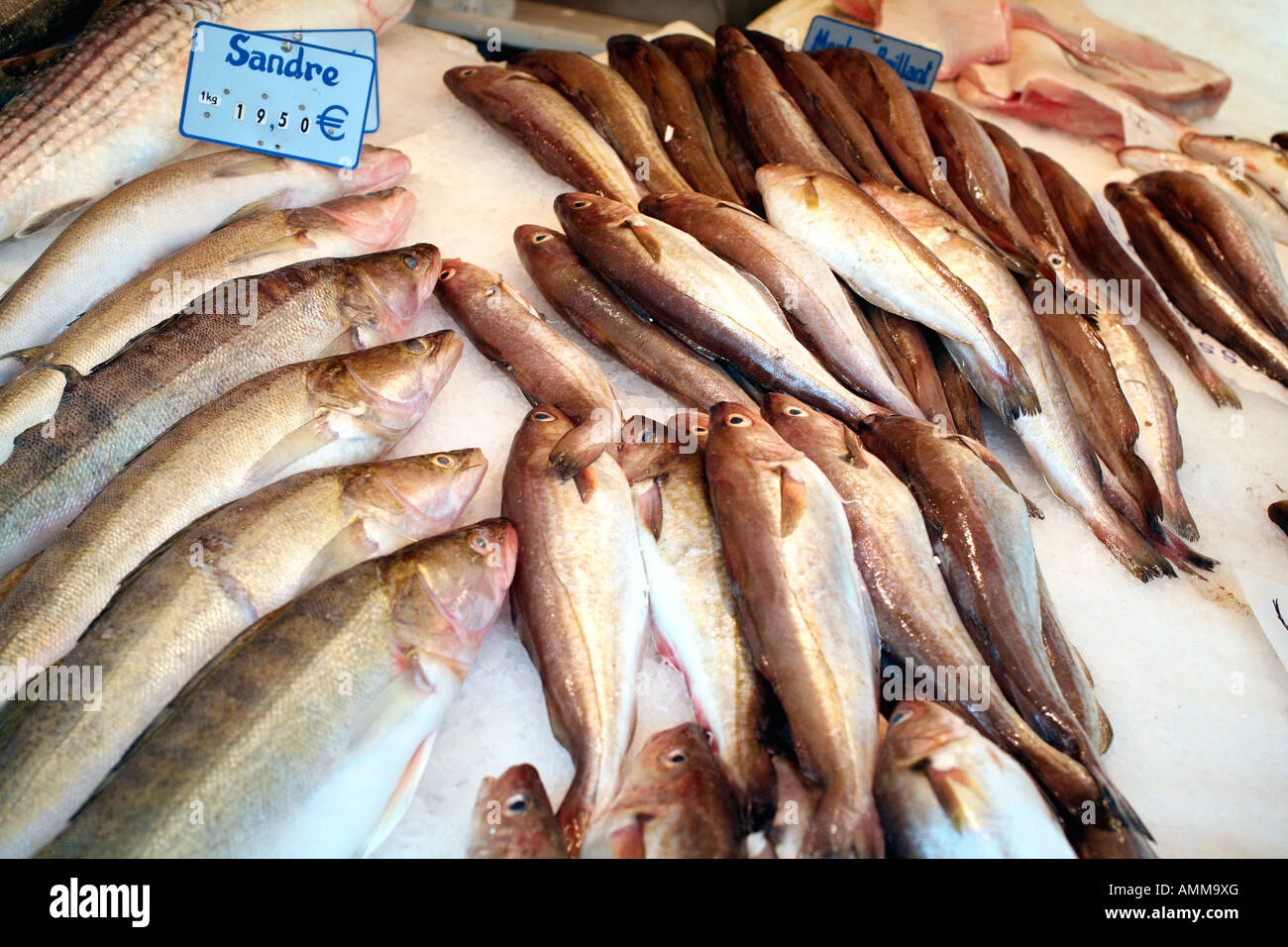 Fresh silver fish hi-res stock photography and images - Alamy