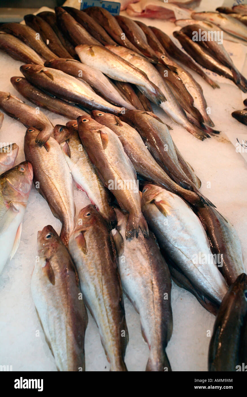 Farmers market paris fish hi-res stock photography and images - Alamy