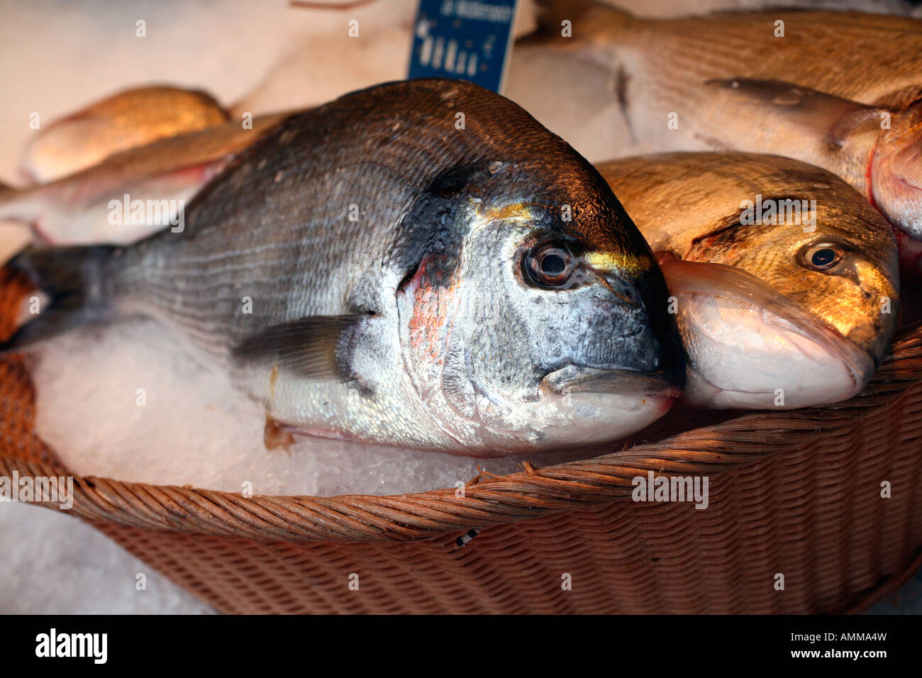 Fresh fish on sale at a stall at the Sunday market on Boulevard Richard Lenoir at Bastille, Paris Stock Photo