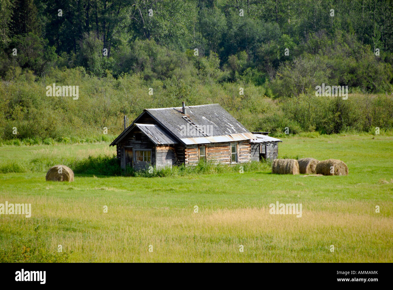 Farm Farmland along Highway 16 near Smithers British Columbia BC Canada