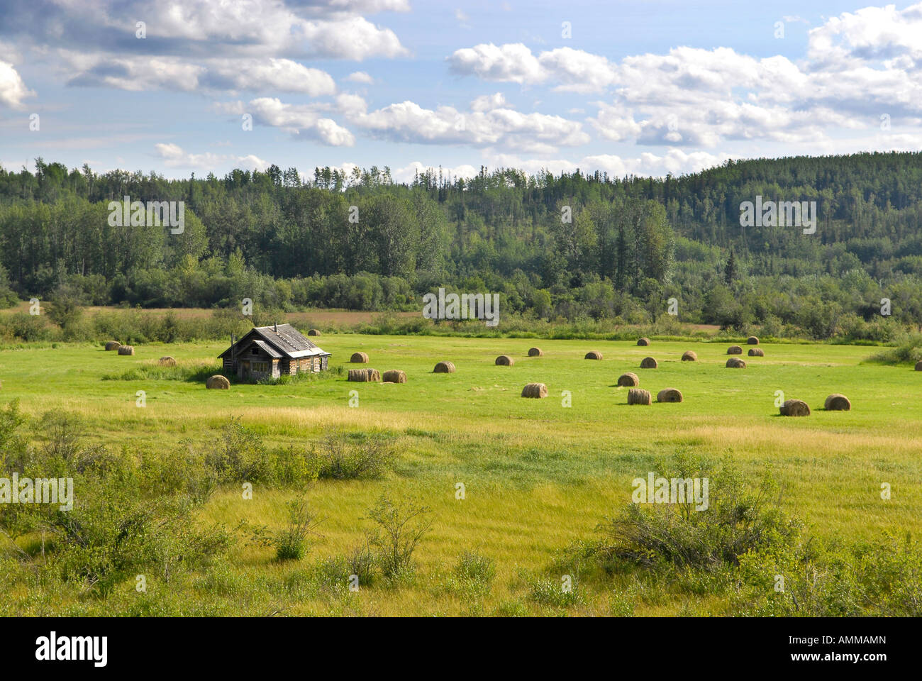Farm Farmland along Highway 16 near Smithers British Columbia BC Canada