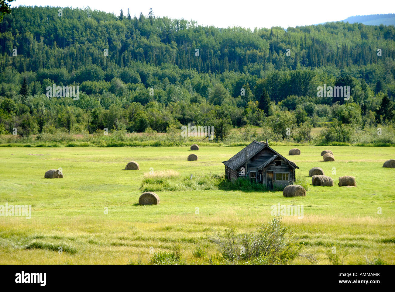 Smithers hires stock photography and images Alamy