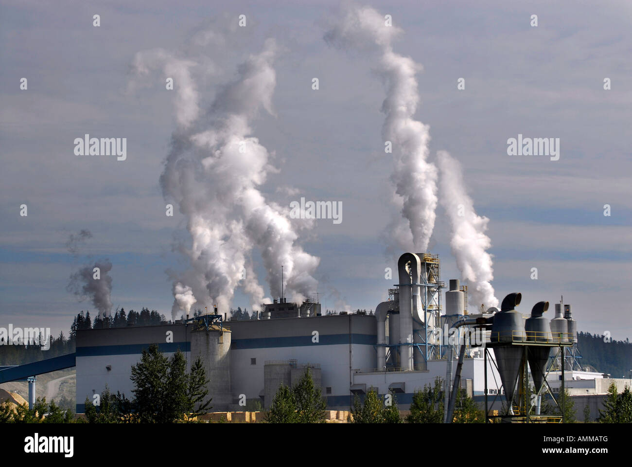 Lumber Forestry Logging Wood Industry Quesnel British Columbia BC Canada Processing Plants Stock Photo