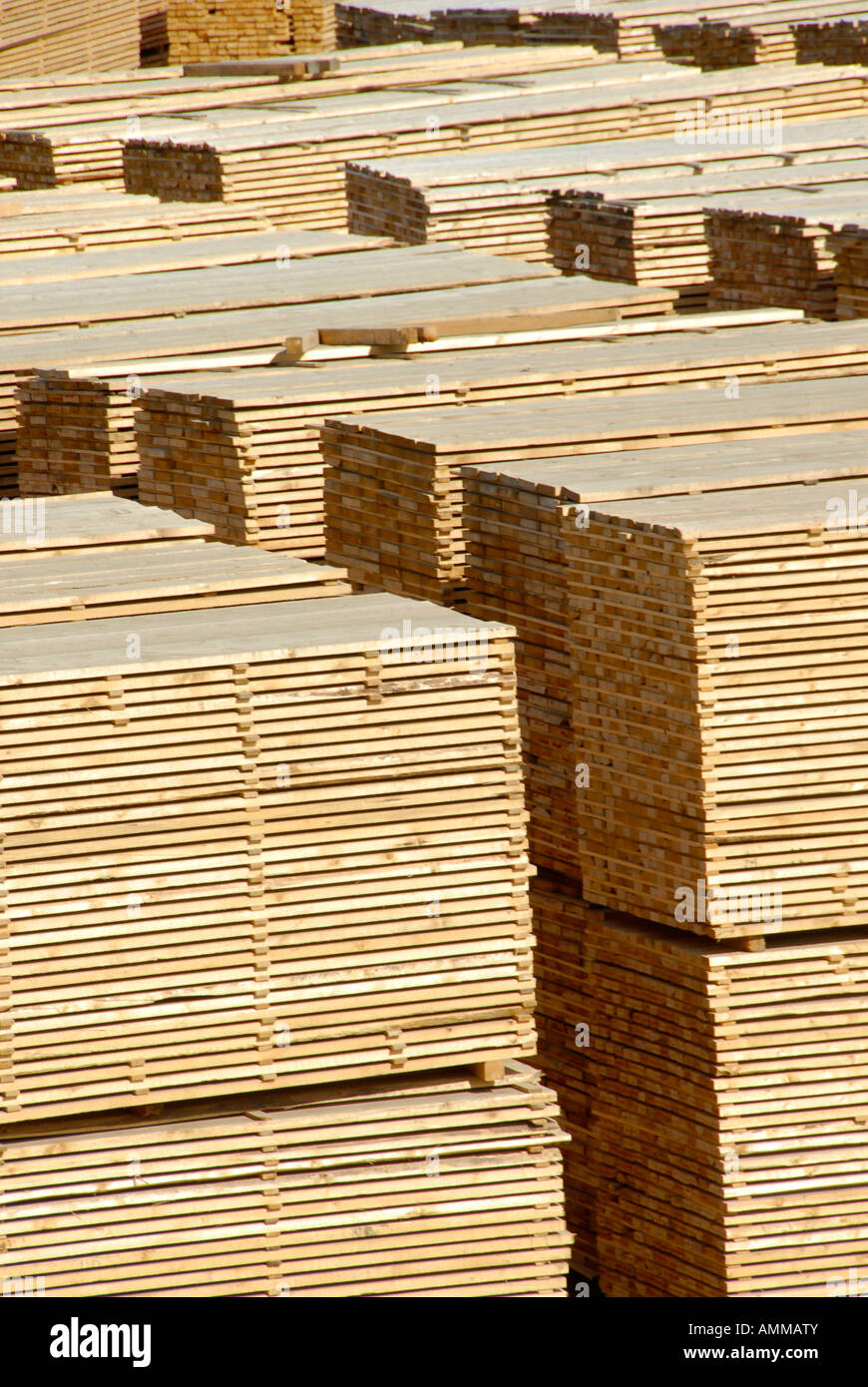 Stacked Lumber Forestry Logging Wood Industry Quesnel British Columbia BC Canada Stock Photo