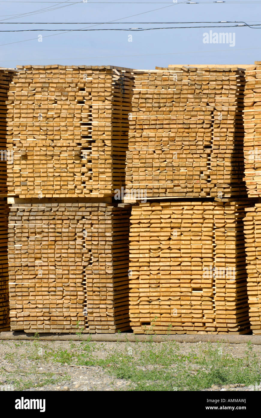 Stacked Lumber Forestry Logging Wood Industry Quesnel British Columbia BC Canada Stock Photo