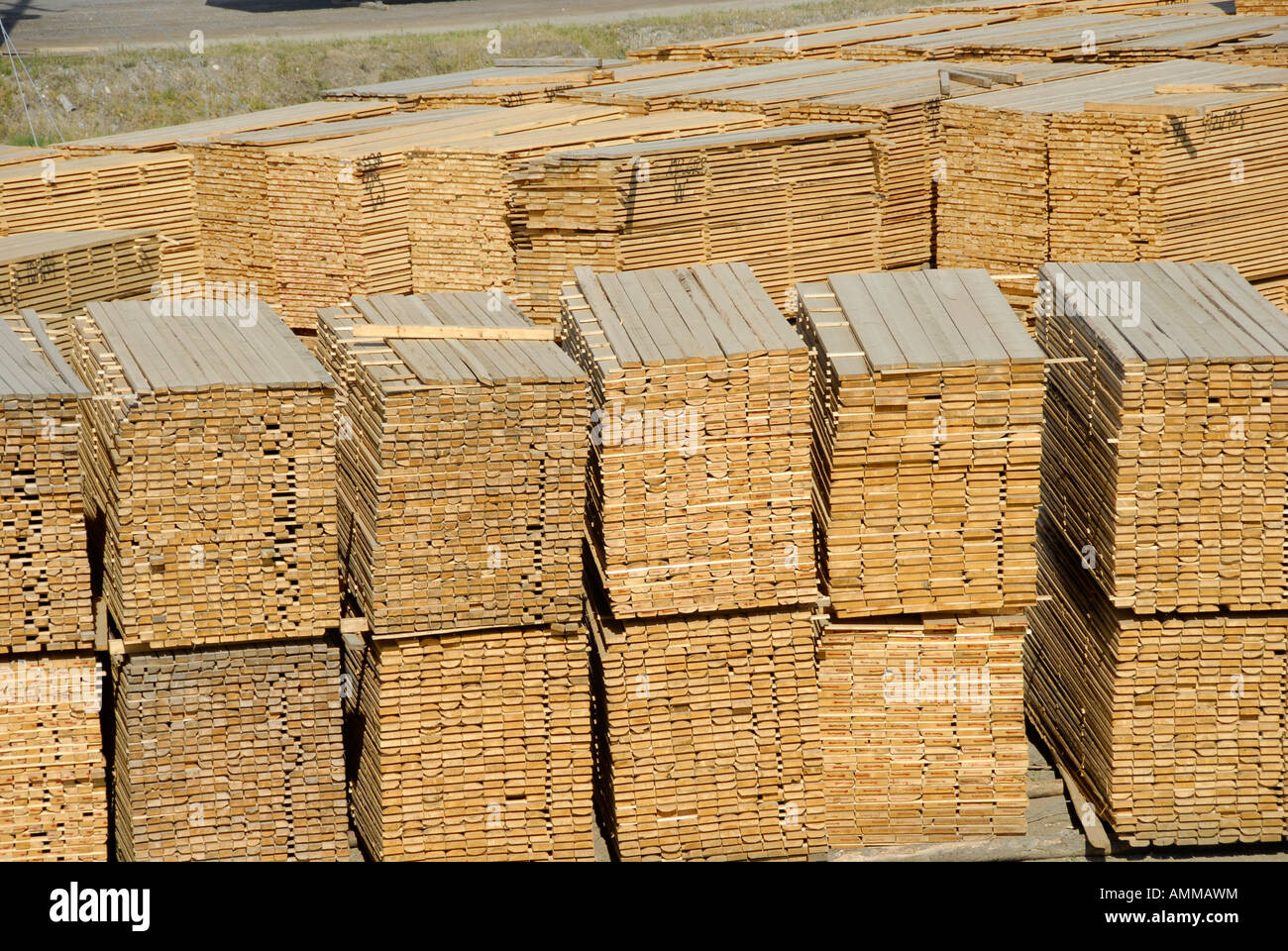 Stacked Lumber Forestry Logging Wood Industry Quesnel British Columbia