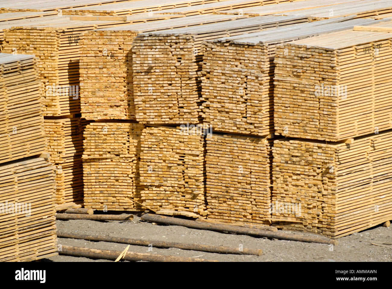 Stacked Lumber Forestry Logging Wood Industry Quesnel British Columbia