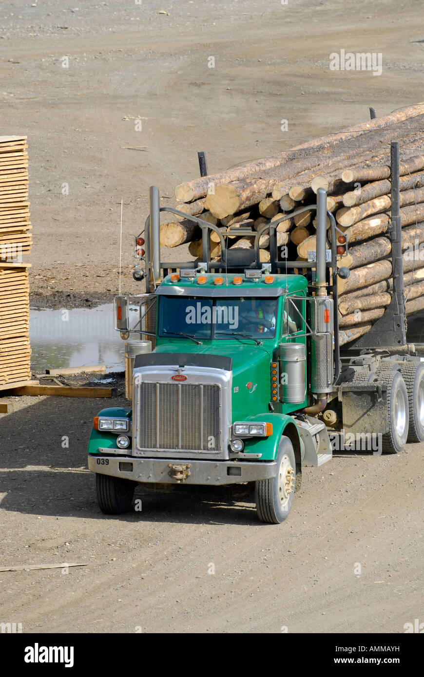 Logging Trucks Transport Lumber Forestry Logging Wood Industry Quesnel