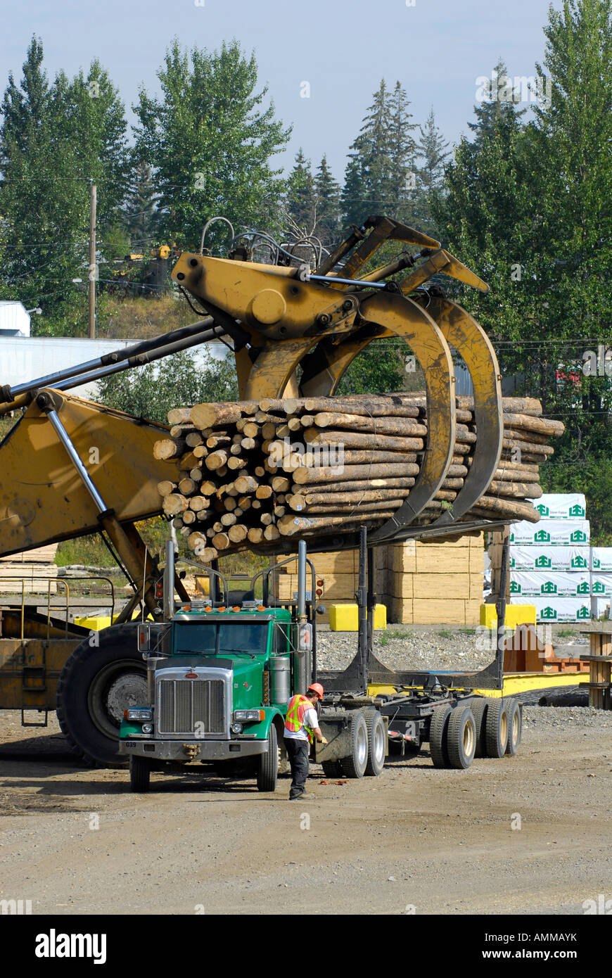 Logging Trucks Transport Lumber Forestry Logging Wood Industry Quesnel