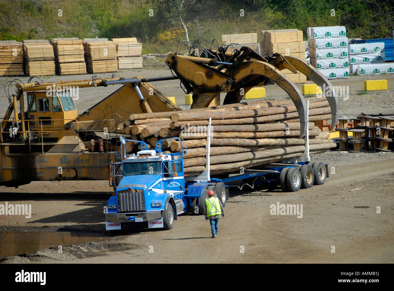 Logging Trucks Transport Lumber Forestry Logging Wood Industry Quesnel