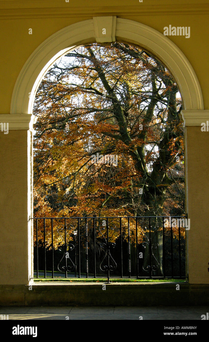 Framed View framed view of trees in valley gardens Stock Photo - Alamy