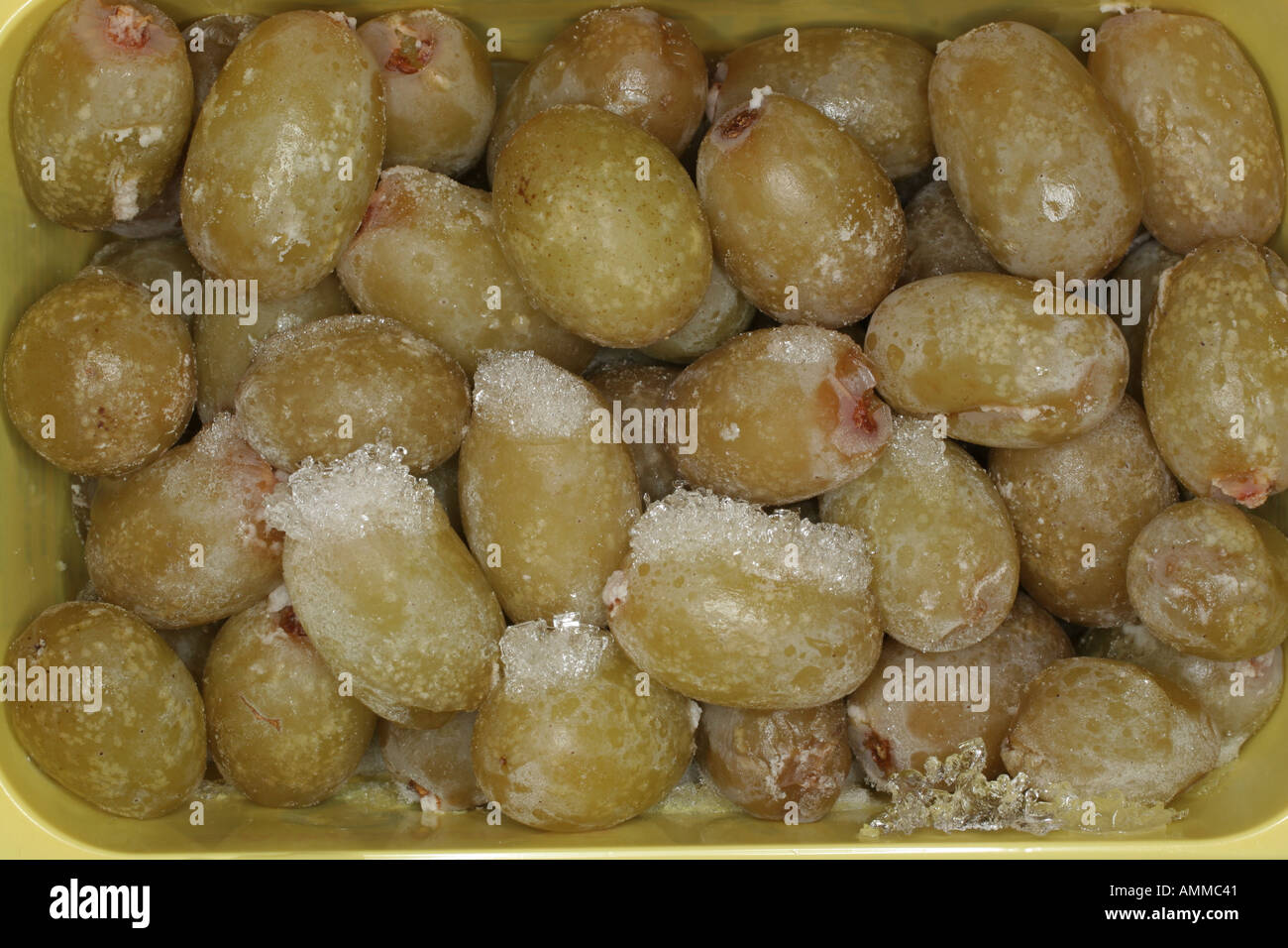 Frozen Grapes defrosting for Elderberry wine home made brew Ice Frost Crystal Snow Stock Photo