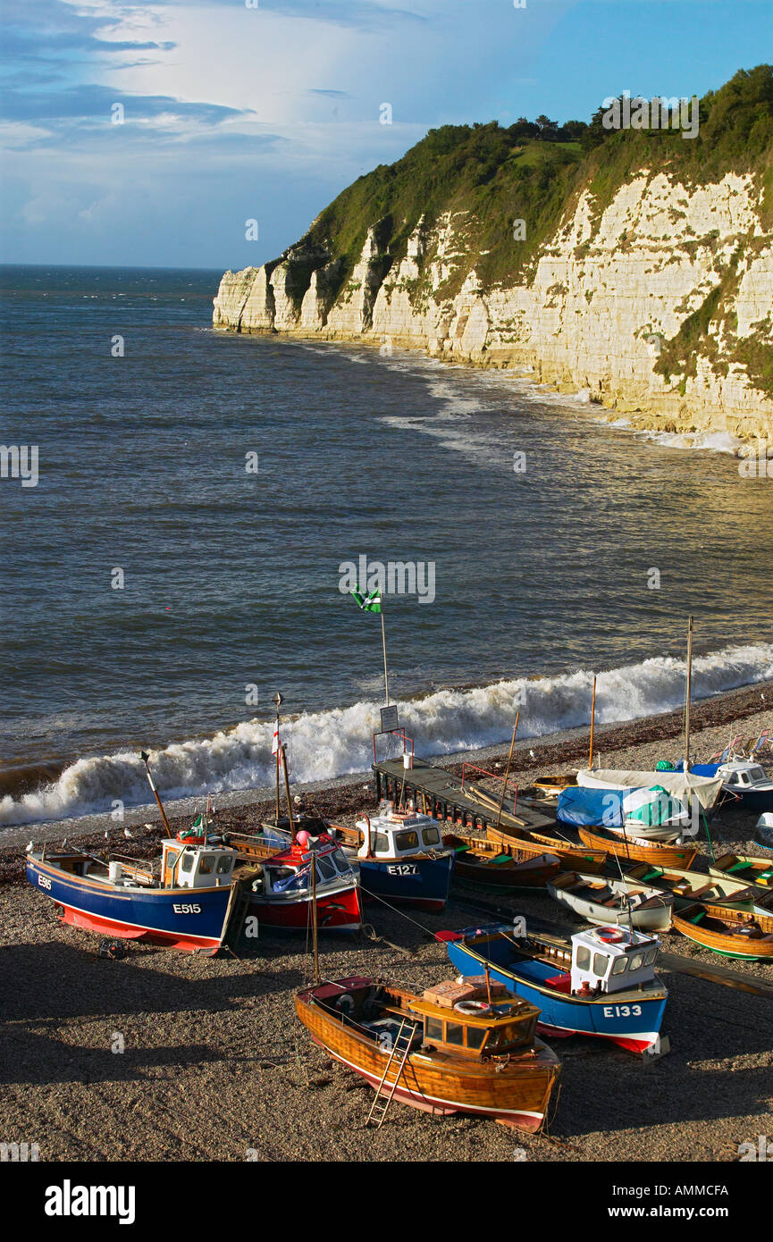 Beer and Beer Head, Devon, England, UK Stock Photo - Alamy