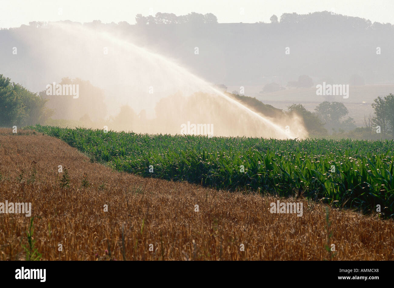 Fog irrigation hires stock photography and images Alamy
