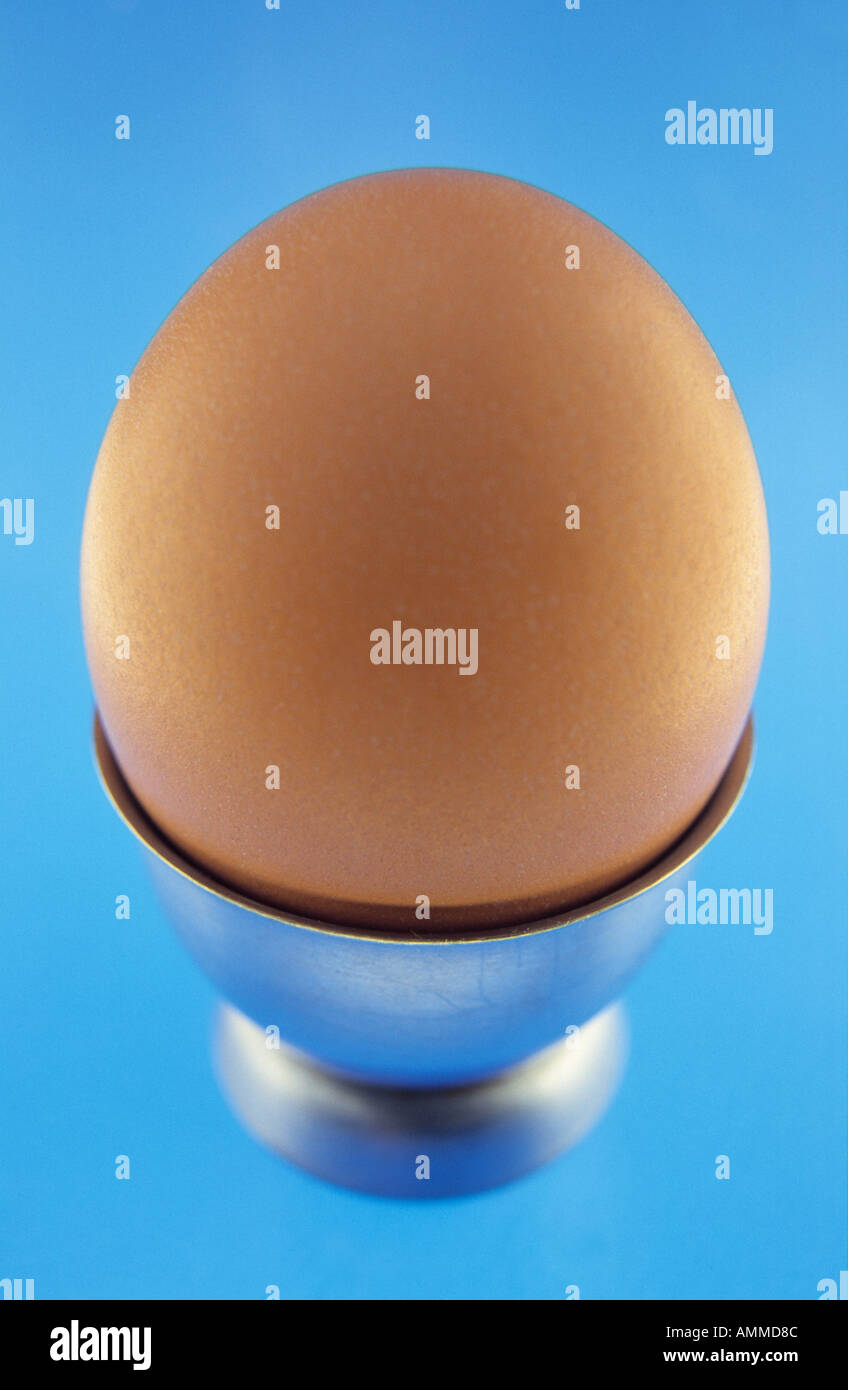 Egg Stock Photo