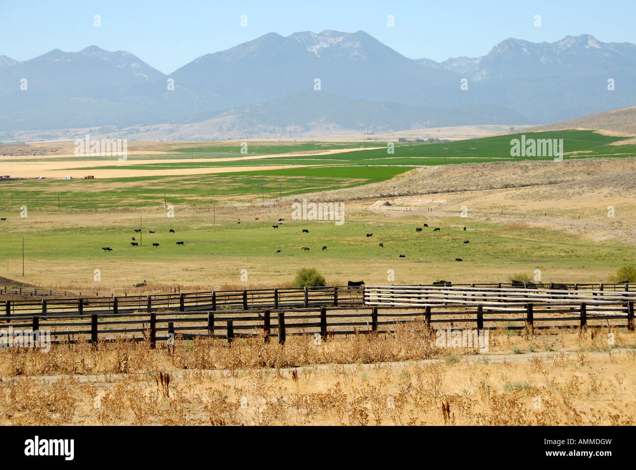 Wyoming farm farmland country courntyside ranch cattle mountains