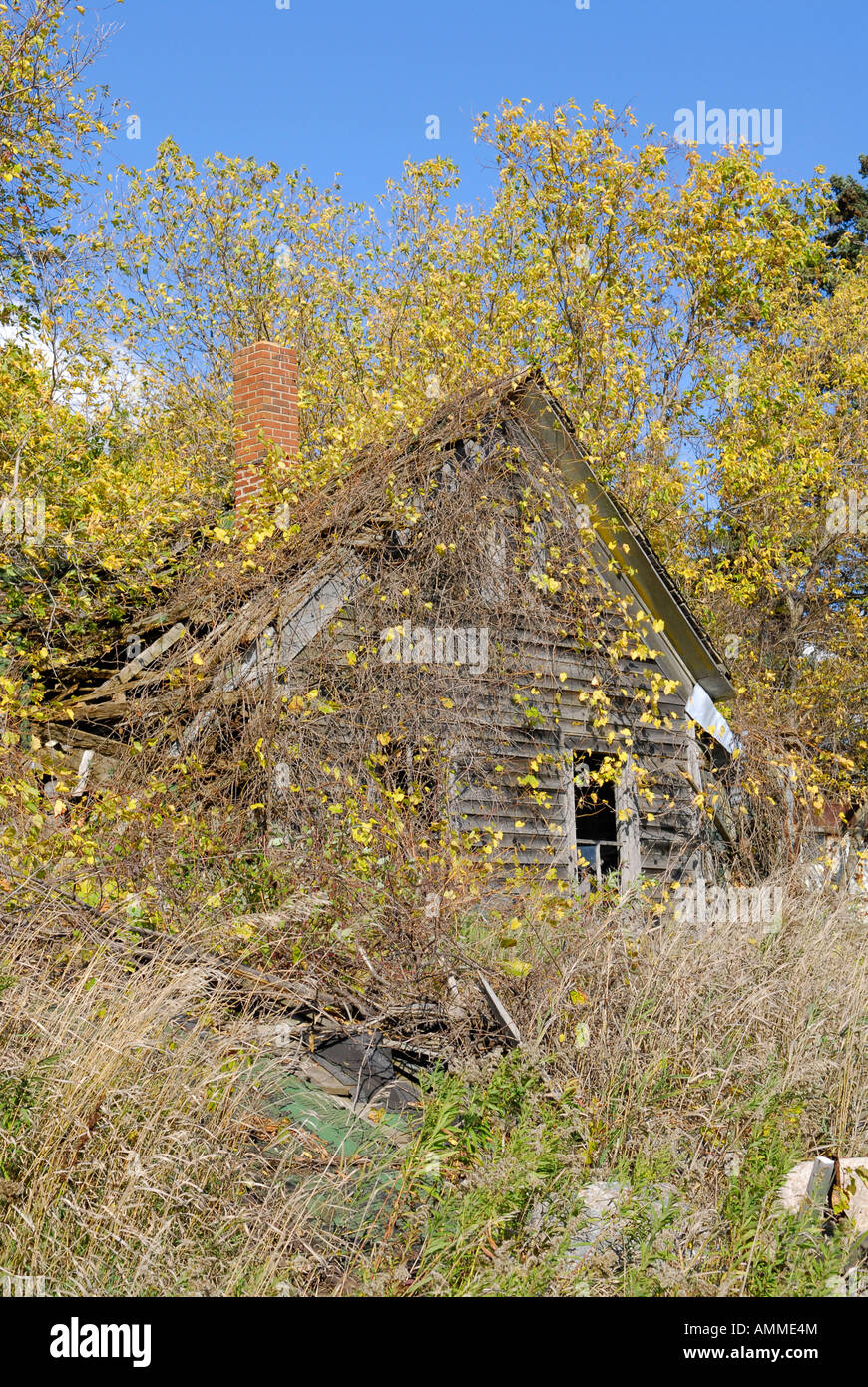 Dilapidated old farm house in a field during autumn time near Port Austin Michigan Stock Photo