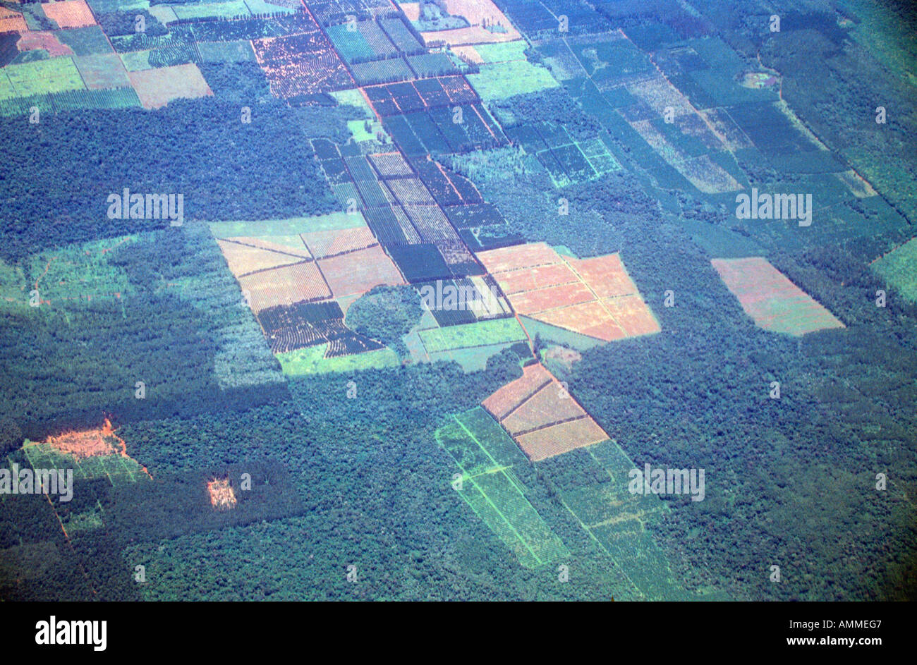 Aerial view of rainforest deforestation in Argentina and Brazil Stock Photo