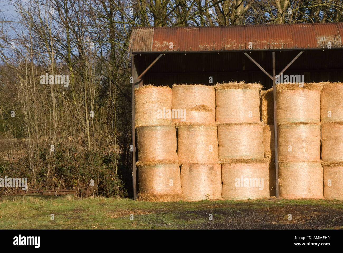 Round Bales of Hay Stored in a Barn for Winter Animal Feed on a