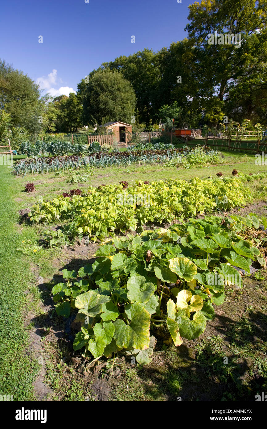 Well stocked French vegetable garden Normandy France Stock Photo Alamy
