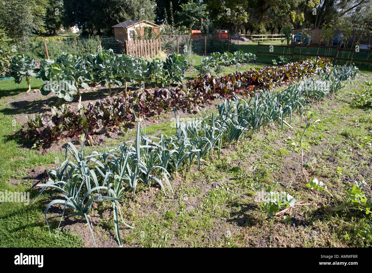 Well stocked French vegetable garden Normandy France Stock Photo Alamy