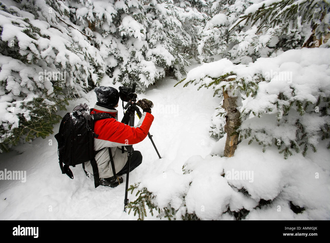 A photographer in snow on Mount Willard Trail New Hampshire USA Stock ...
