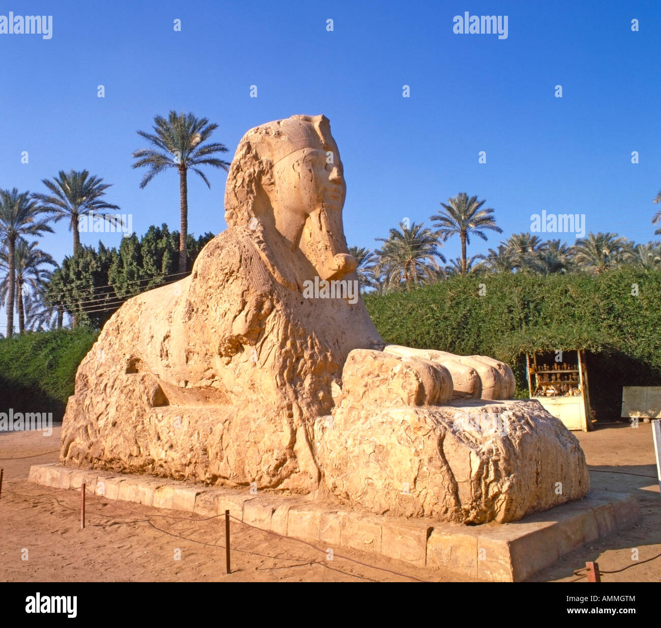 The Alabaster Sphinx at Memphis near Cairo, Egypt Stock Photo - Alamy