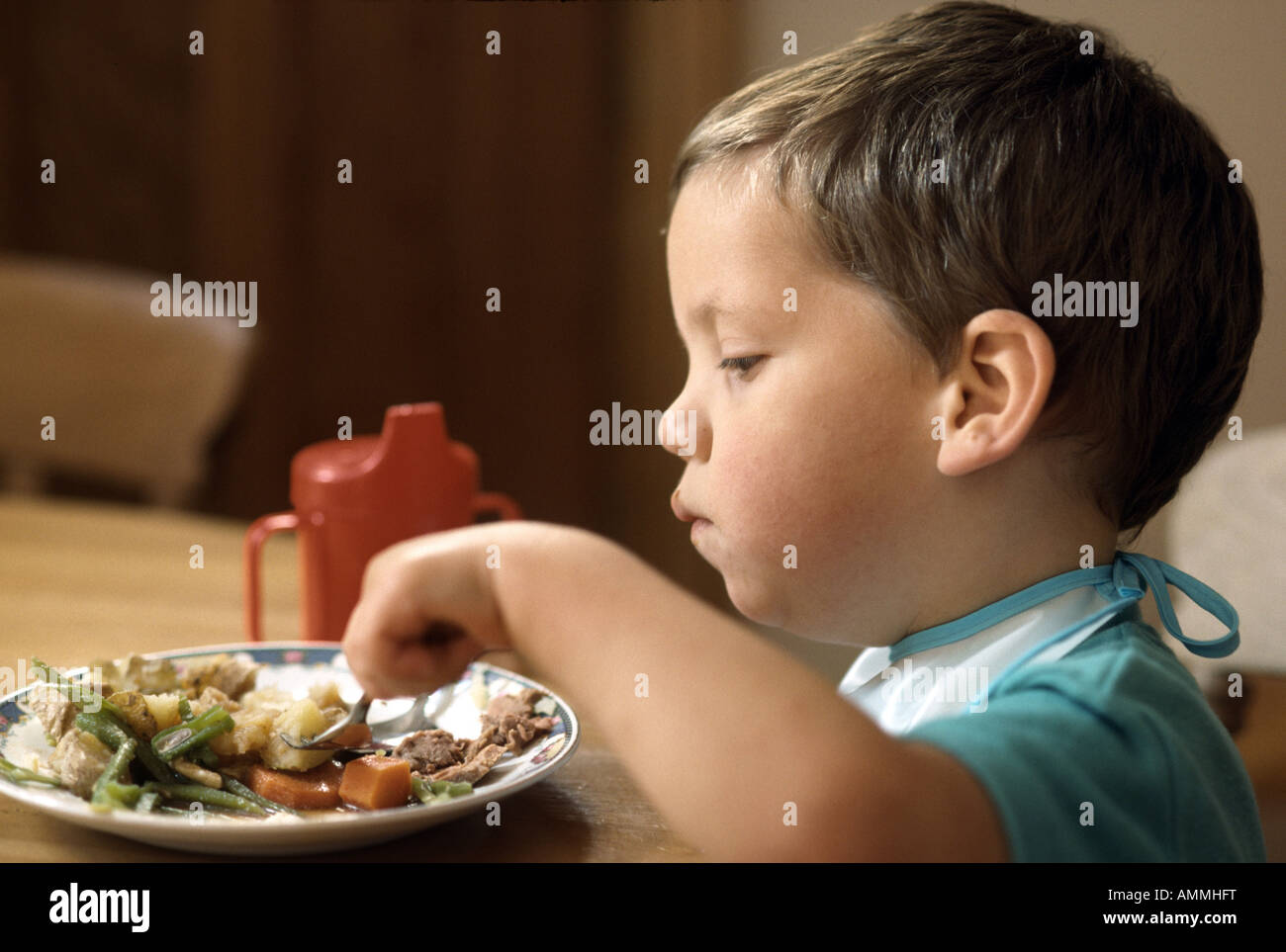three year old boy eating roast dinner Stock Photo Alamy