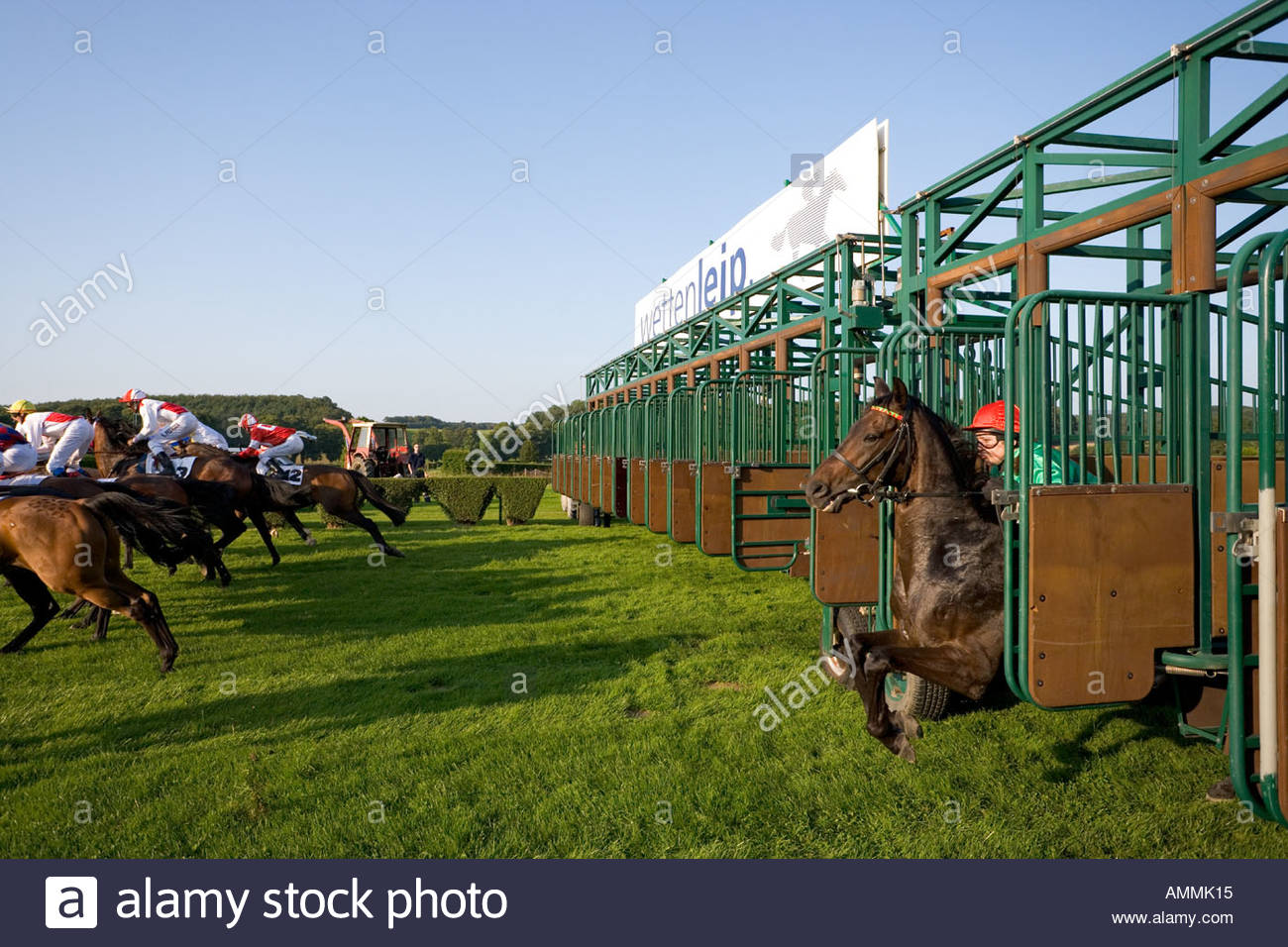 Horseracing Racecourse Racetrack Race Start Late Starter Box Machine Jockey Stable Colours Silk Gallop Speed Grass Turf