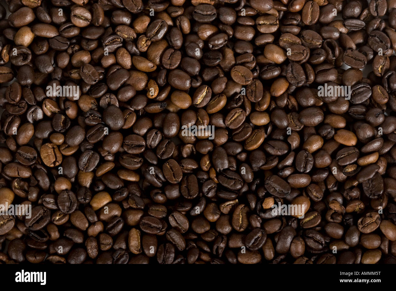 A coffee beans pattern background Stock Photo