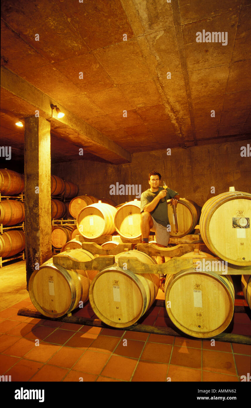 Young man standing in wine cellar Stock Photo - Alamy