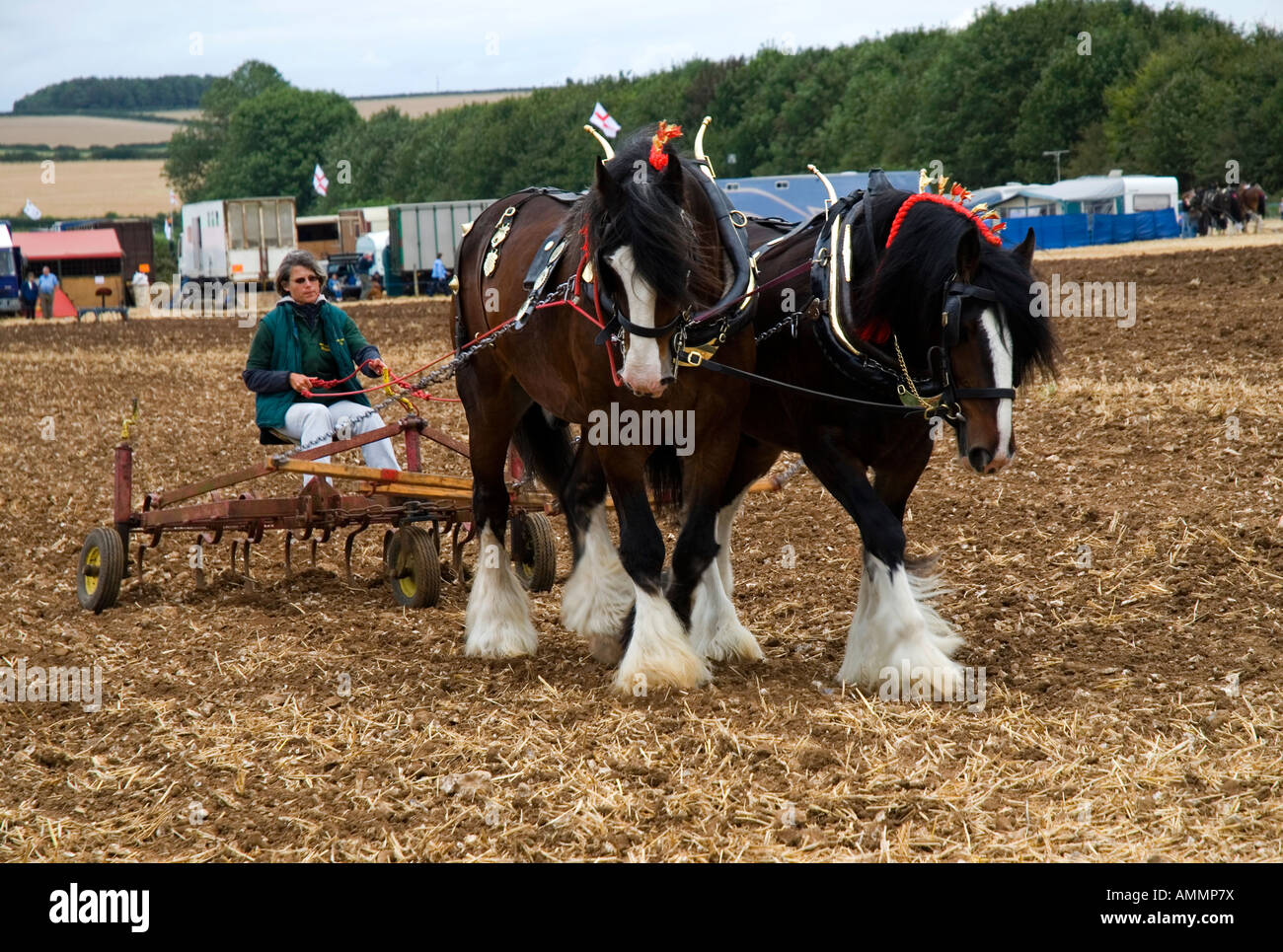 Shire horses ploughing at the 2007 Great Dorset Steam Fair Blandford